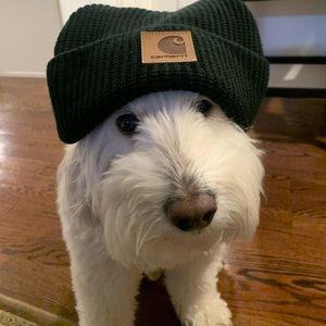 Meet your Posher, Claudia